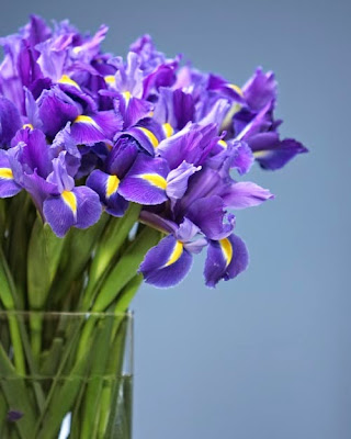 iris wedding flowers
