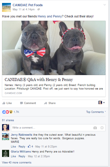 Q&A post with Canidae’s dogs.