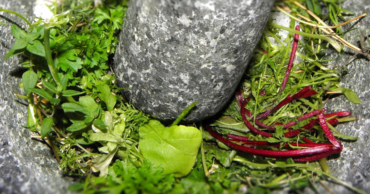 Farbror Grön: Örtsalt