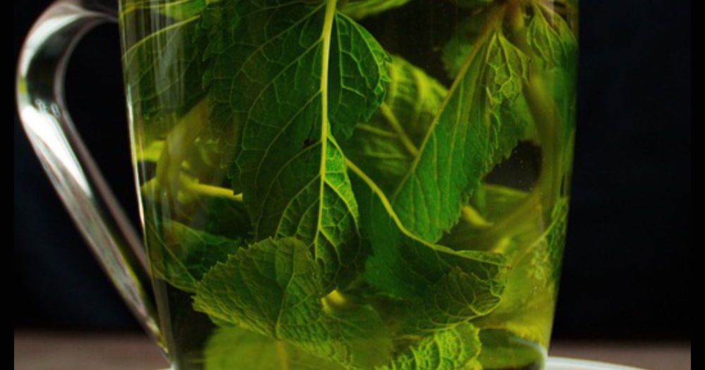 Green Tea Detox Water Recipe For Fast Weight Loss Julia Fat Burning