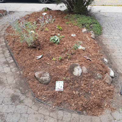 East York Toronto Front Garden Renovation After by Paul Jung Gardening Services--a Toronto Organic Gardener