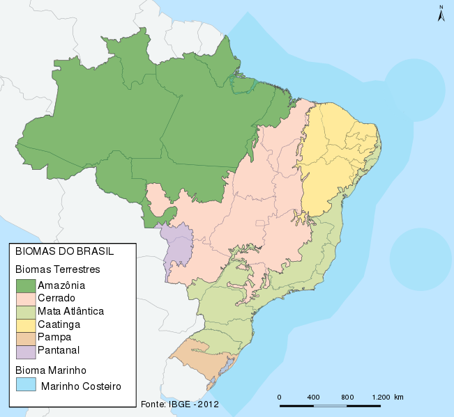 A época que o Brasil todo era feliz, By União Sansãopalrinthians