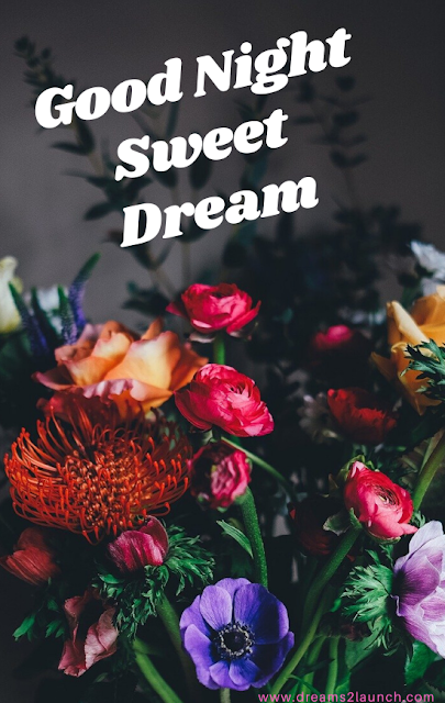 good night rose flower good night rose flower