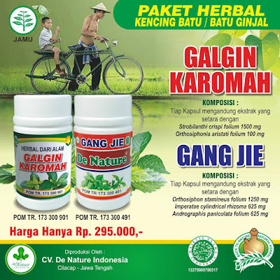 obat kencing batu