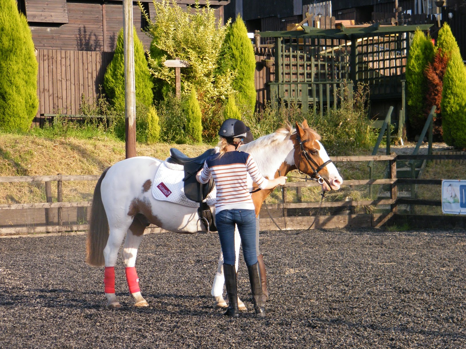 Equine Sports Massage Therapy take two Sian Lovatt Country Bumpkin