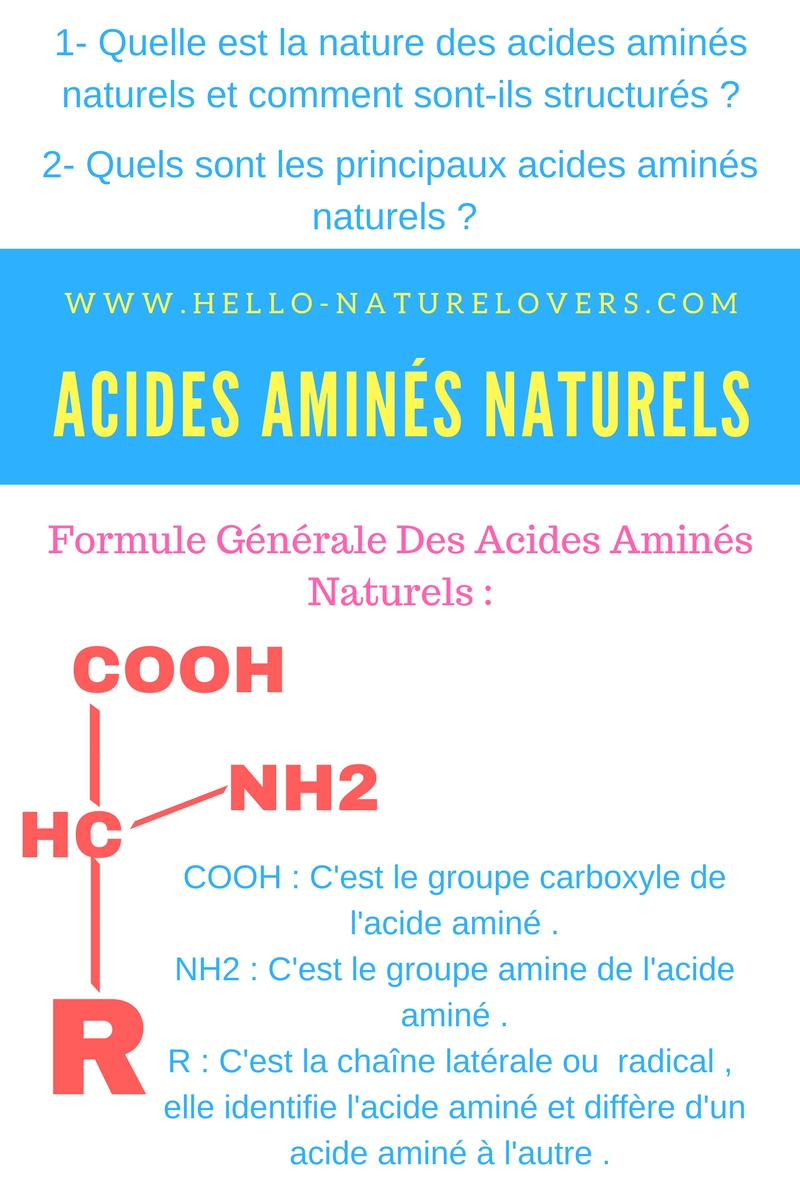 Les acides aminés naturels, leur nature et leurs genres. LaScientifique
