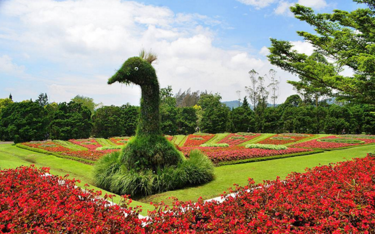 10 Taman Bunga Terindah Di Indonesia Yang Layak Untuk Dikunjungi