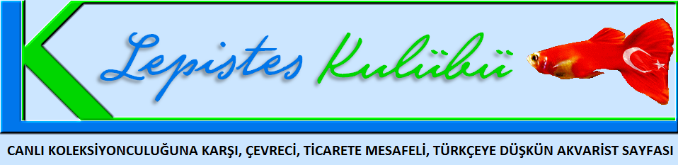 Lepistes Kulübü