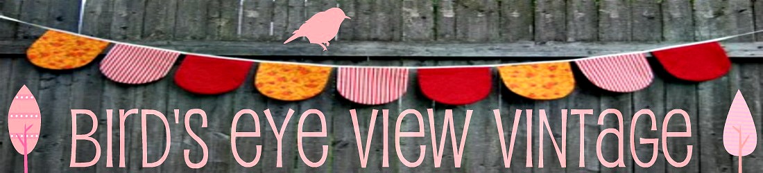 Bird's Eye View Vintage