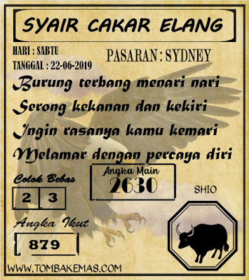 SYAIR SYDNEY 22-06-2019