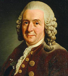 Carolus Linnaeus