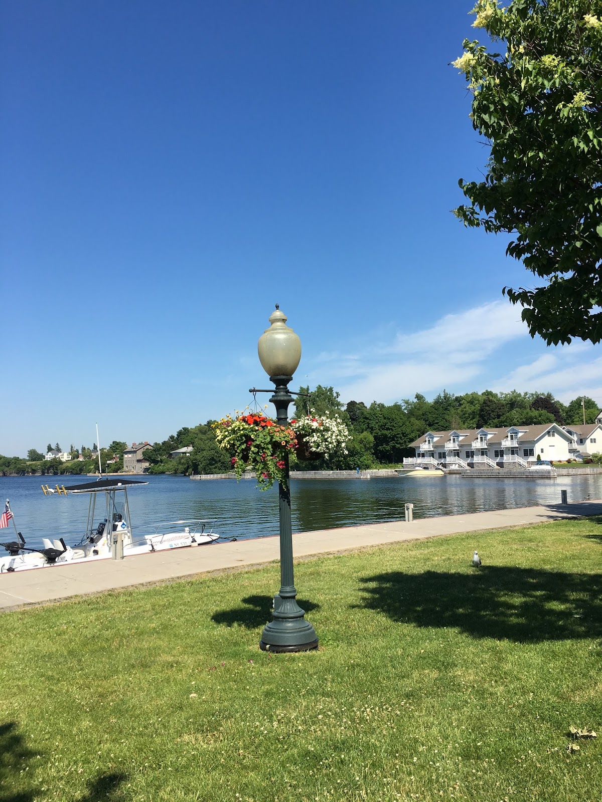 bichonpawz Seeing Beautiful The Sackets Harbor Edition