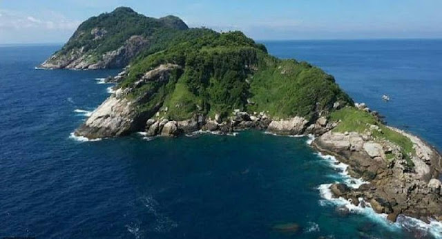 جزيرة الأفاعي الجزيرة الأخطر في العالم جزيرة الأفاعي الجزيرة الأخطر في العالم