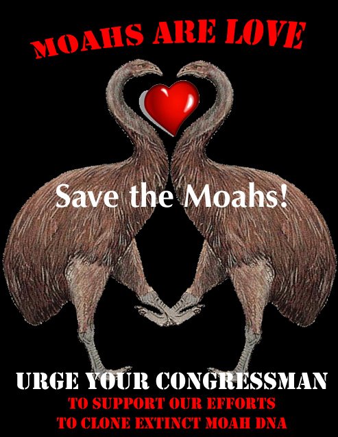 Save the Moa!