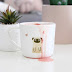 Best Coffee Mugs For Your Hot Beverages