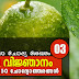 Kerala PSC | General Knowledge | 50 Questions - 03