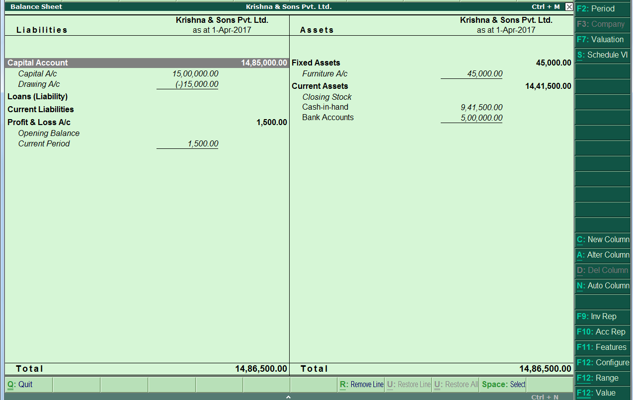 Tally Report (Balance Sheet)
