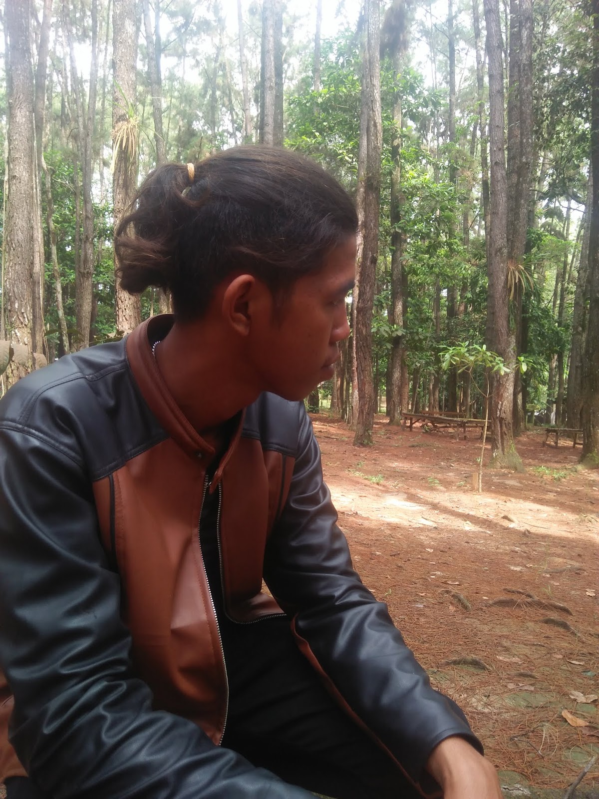 Kunci gitar dan lirik lagu hajujuron bintang panjaitan