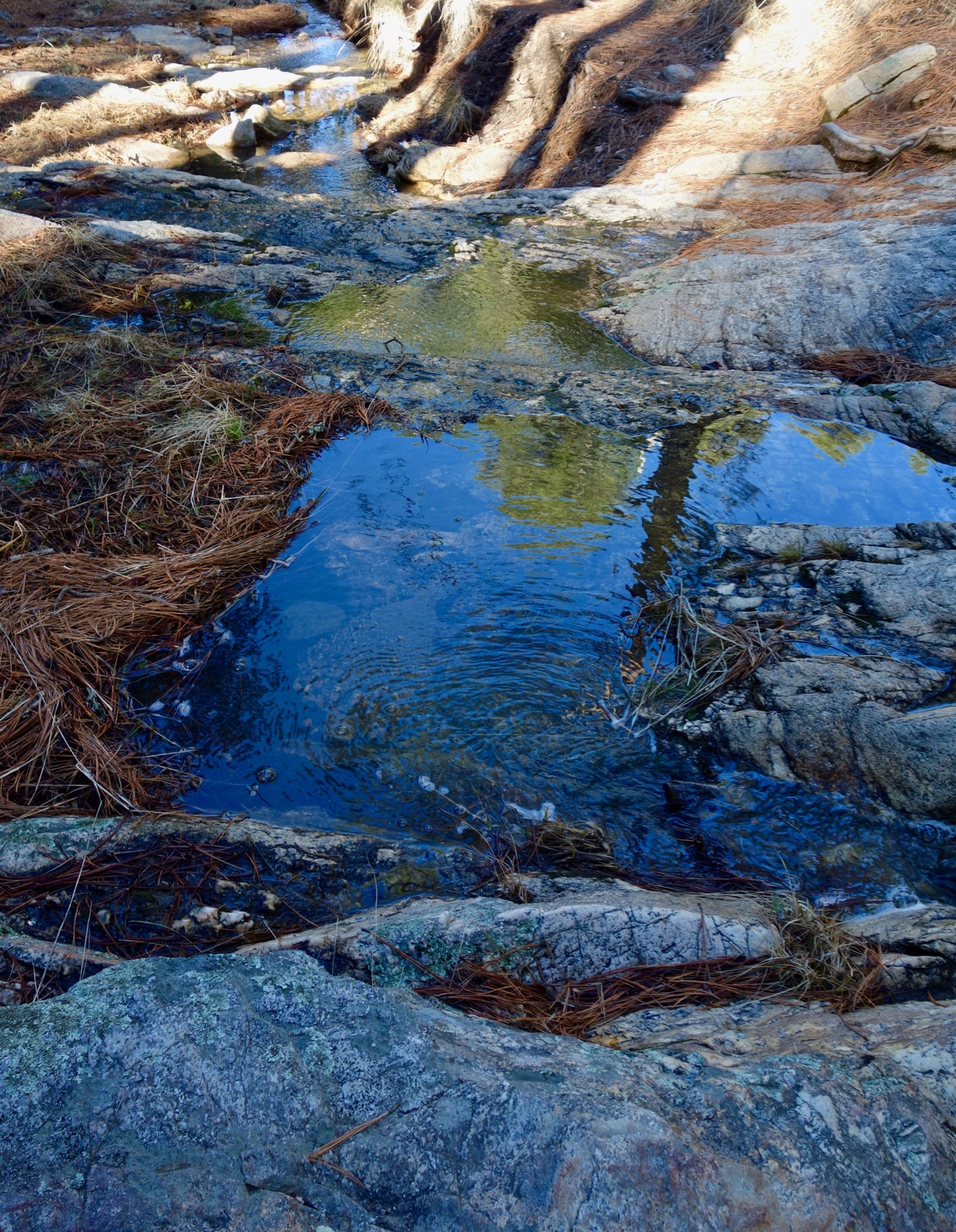 Earthline The American West Box Camp Trail, Pusch Ridge Wilderness