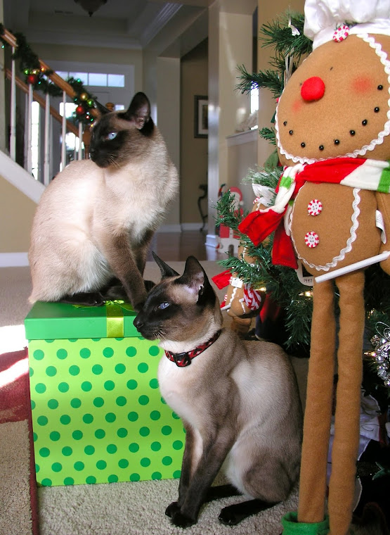 Our Chunk and Andre ..... waiting for Santa