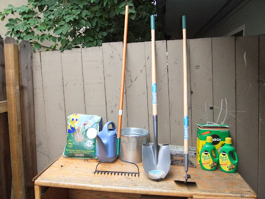 Progress is the most important project.