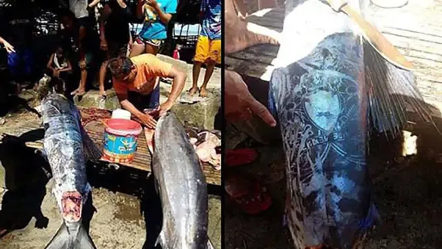 Enorme pez con extraños patrones en su cuerpo capturado en Filipinas - ¿Puedes descifrarlo?