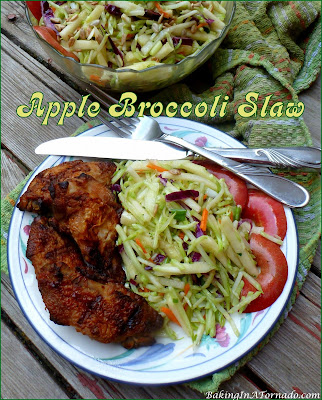 Apple Broccoli Slaw is a cool, refreshing side dish perfect for that cook out or pot luck. Apples, vegetable, and sunflower seeds are mixed with a light (no mayo) dressing. | recipe developed by www.BakingInATornado.com | #recipe #sidedish