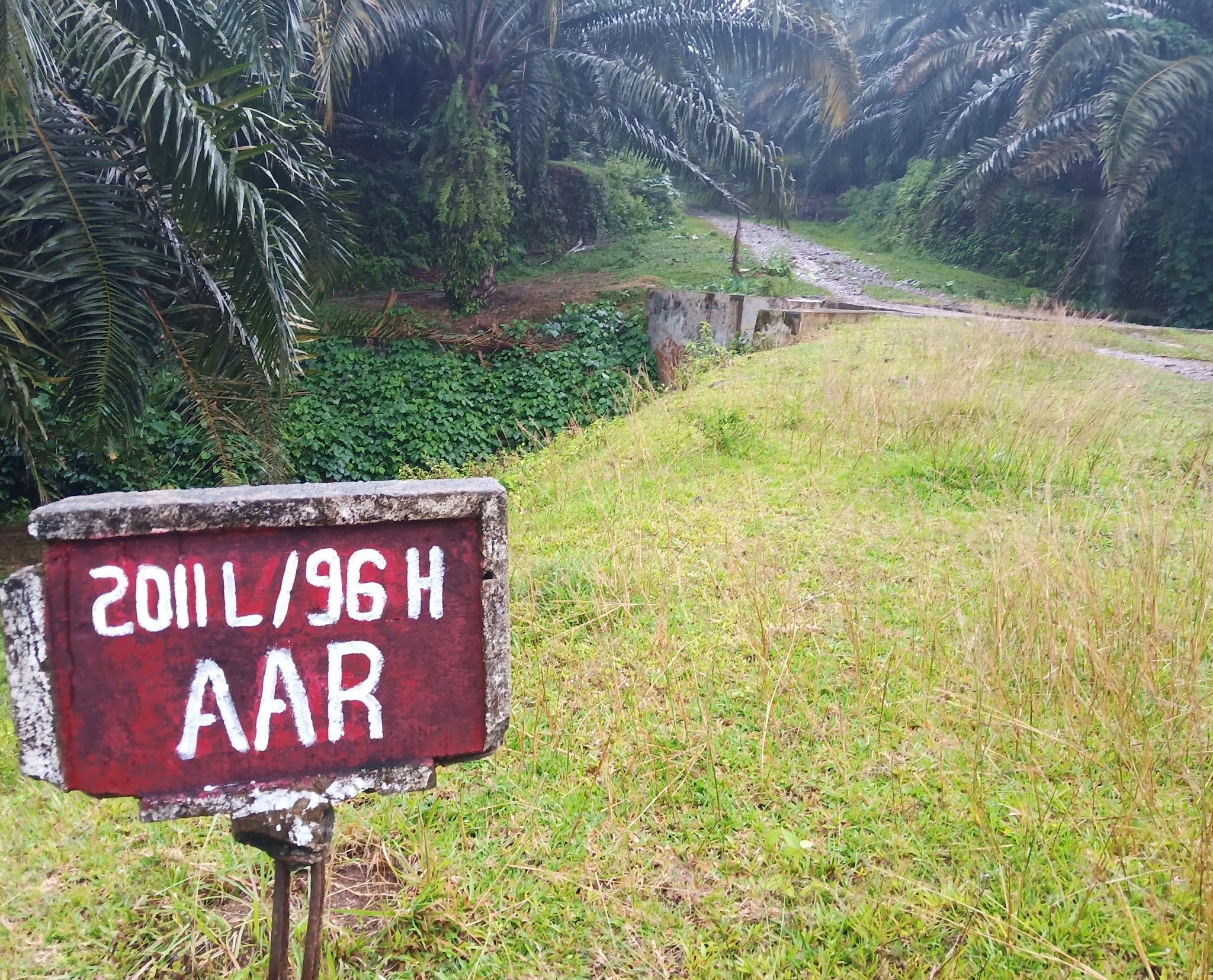 Menilik Tempat Angker Disela Pencarian 3 Anak Yang Hilang Pulau Syetan Kawasan Bertemunya Para Mahluk Ghaib