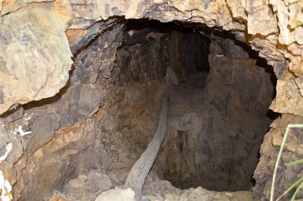 Microbes discovered deep underground remain virtually unchanged since 175 million years ago