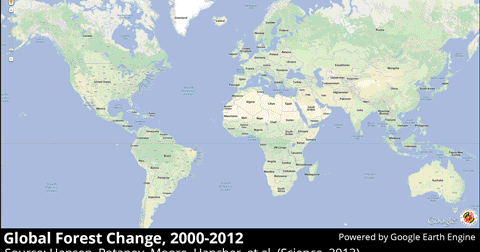 world map earth changes