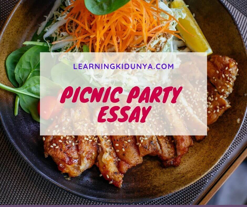a picnic party essay for 2nd year