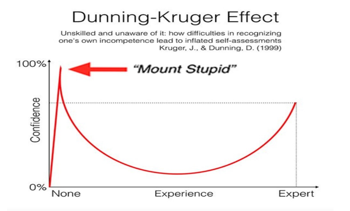 Dunning Kruger Effekt Test