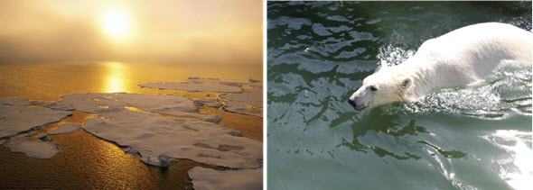 Penyebab dan Dampak Pemanasan Global Pemanasan global adalah istilah yang digunakan untuk menggambarkan peningkatan suhu rata Penyebab dan Dampak Pemanasan Global