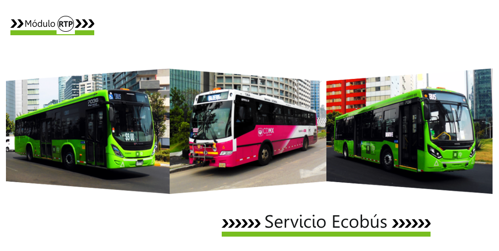 RTP M1 Servicio Ecobus