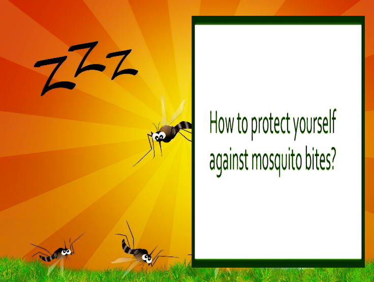 The Creative Life Protect Yourself Against Mosquitoes