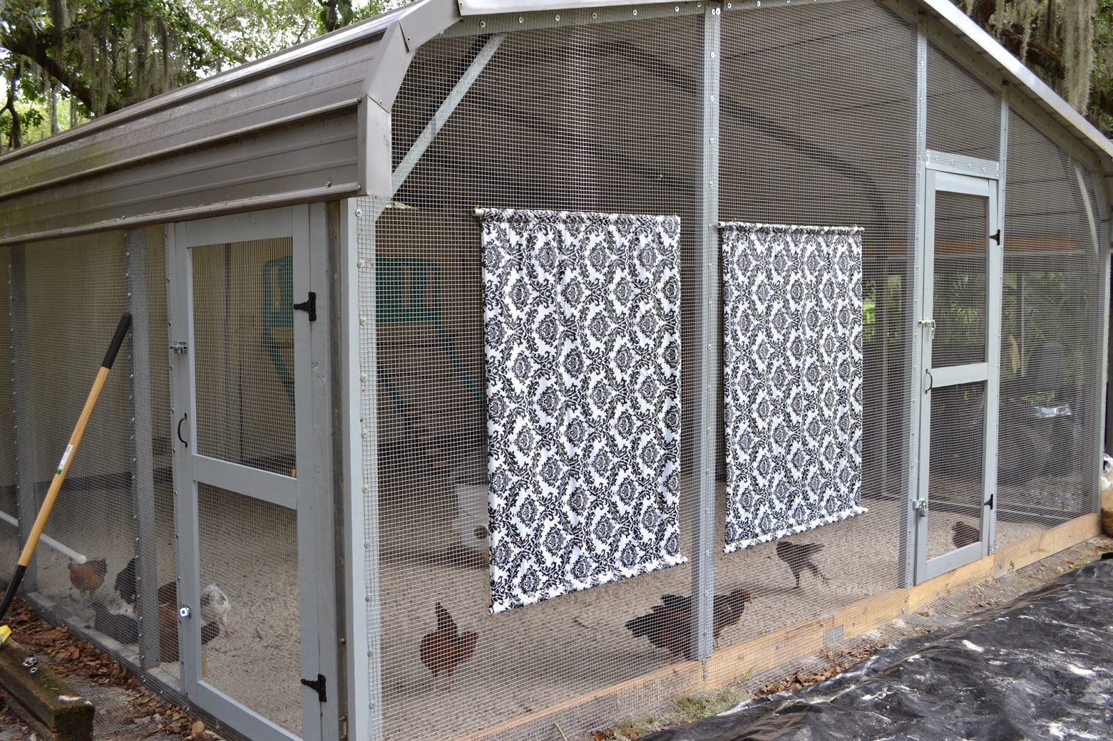 I Heart Decorating Poop Hammocks & Coop Cleaning