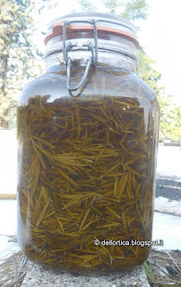 oleolito di lavanda vera, oleolito di lavandino, oleolito di cipresso, oleolito di rosmarino, oleolito di salvia, oleolito di iperico dell'Azienda Agricola dell'Ortica a Savigno Valsamoggia Bologna in Appennino vicino Zocca