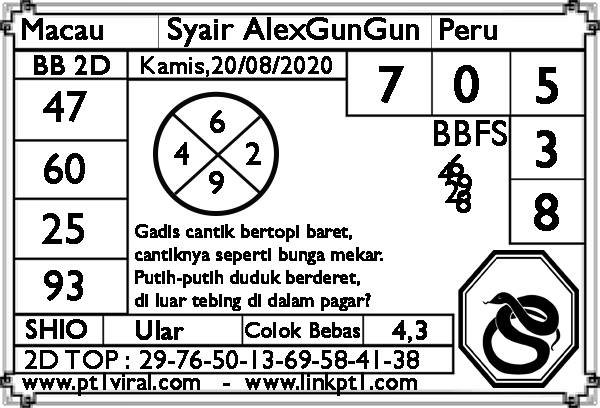 SYAIR ALEXGUNGUN PAITO WARNA PT1