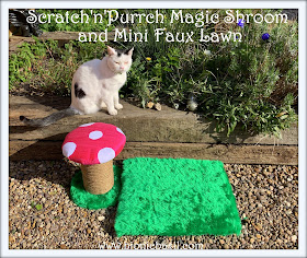 Crafting with Cats Easter Special ©BionicBasil® Scratch'n'Purrch Magic Shroom and Mini Faux Lawn