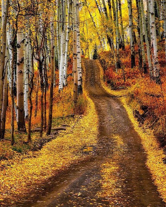 Just A Car Guy: I hope you're going to take photos if you're getting ...