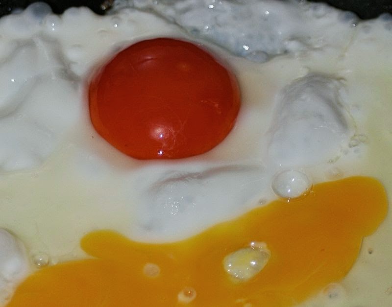 Are Eggs With Orange Yolks Unsafe For Human Consumption are-eggs-with-orange-yolks-unsafe-for-human-consumption