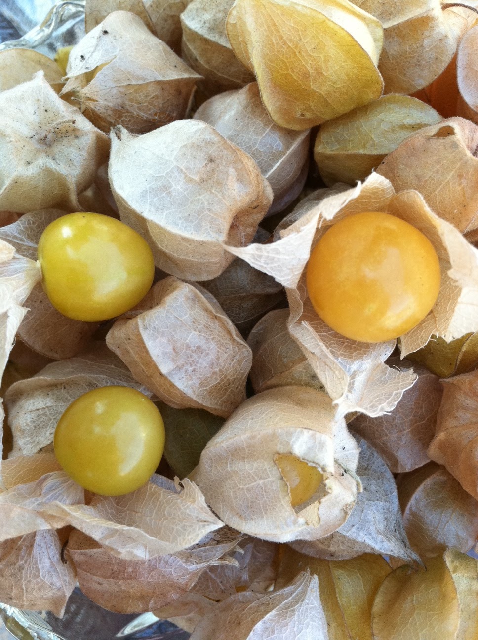 BE REAL Ground Cherries