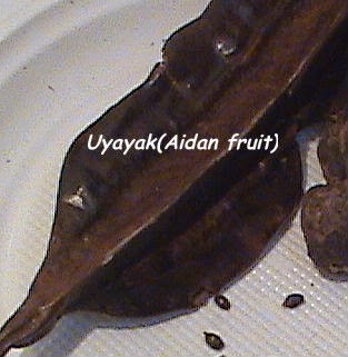 uyayak, aidan fruit, banga soup spices, abak atama spice