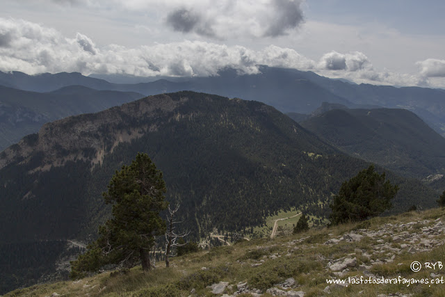 Ruta: Torreta de Cadi (2.562 m.) y Vulturó (2.649 m.). Un paseo por las nubes. (Els 100 Cims). 