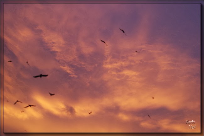 Karins Gedichte Blog Ruhe Vor Dem Sturm