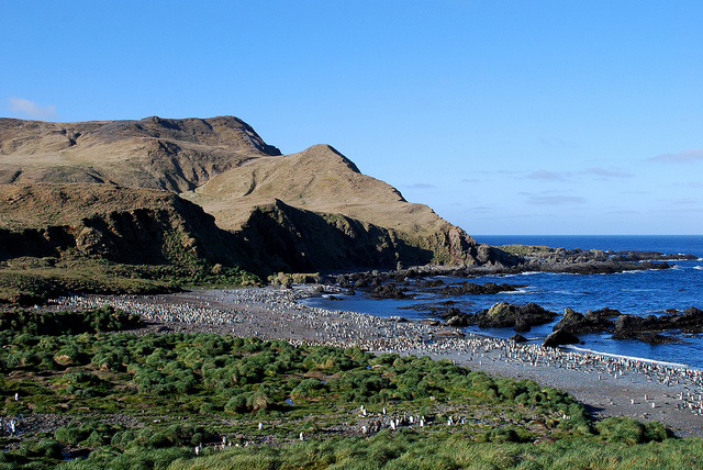 Patrimonio de la Humanidad Isla Macquarie. Australia 1997