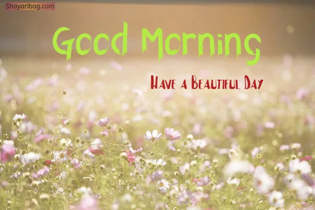 Good Morning Flowers Good Morning Flowers