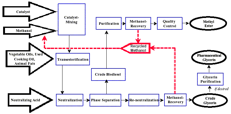 All about Palm Oil: Biodiesel