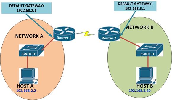 Buzz Learner: Network layer (Lesson: 5)