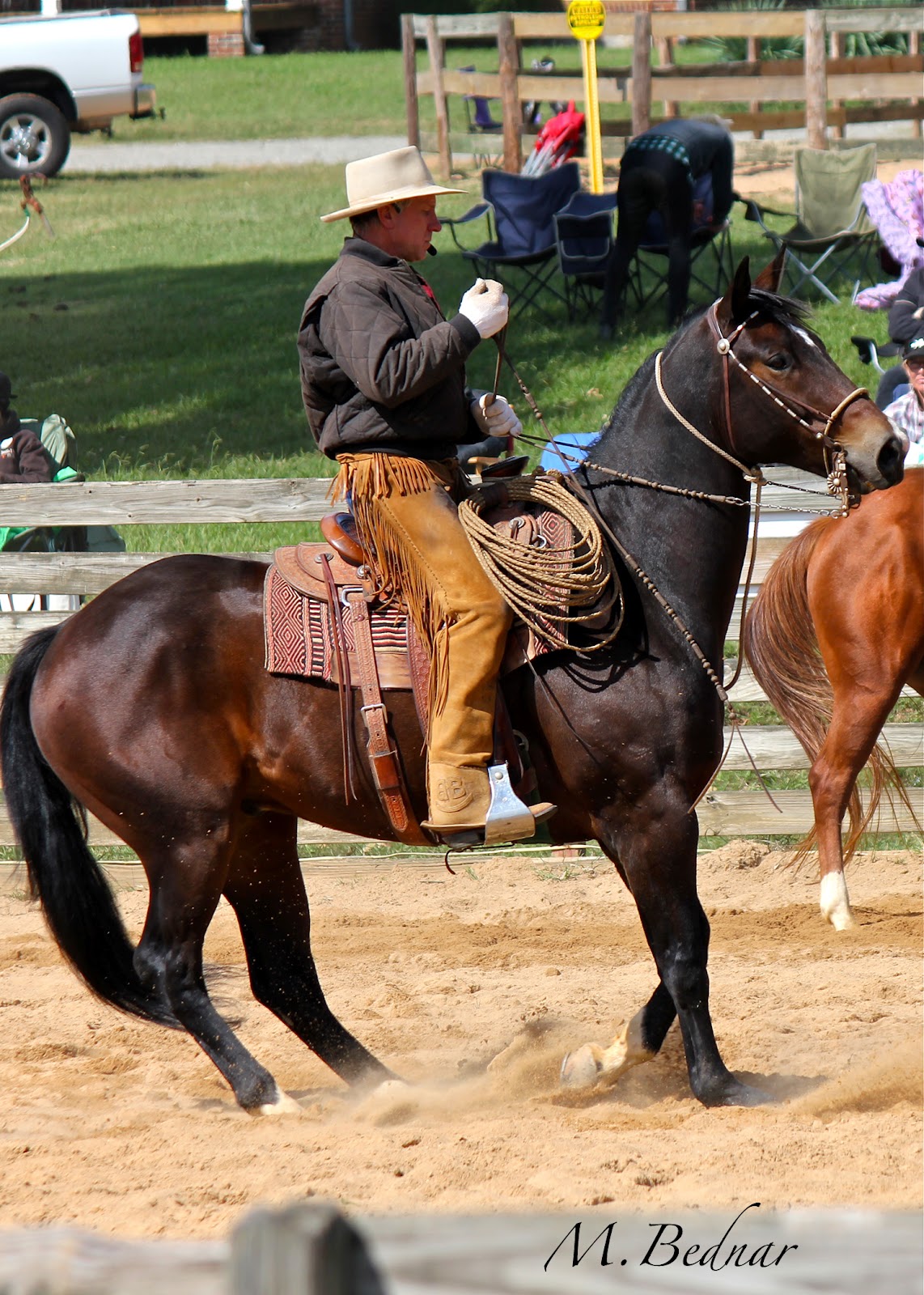 Just Horses The Horse Whisperer Buck Brannaman